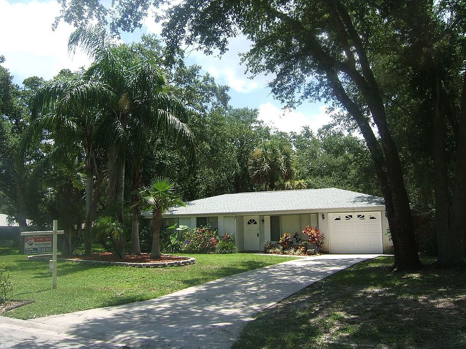 Unique Comfortable Oak Tree Hammock Home