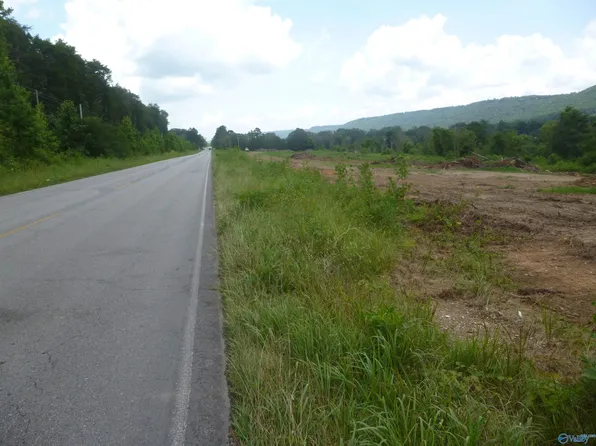 6900 County Road 137, Valley Head, AL 35989