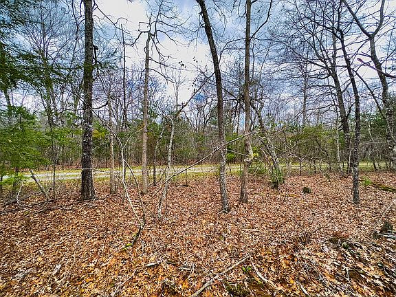 4th image of 133 Thornhill Ln