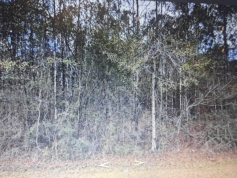 2nd image of County Road 85