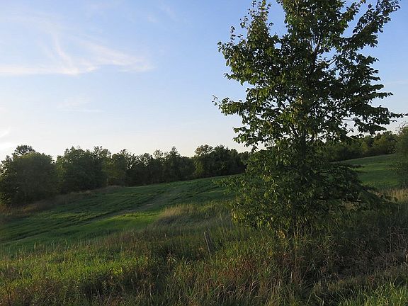 2nd image of 1233 State Highway 37c