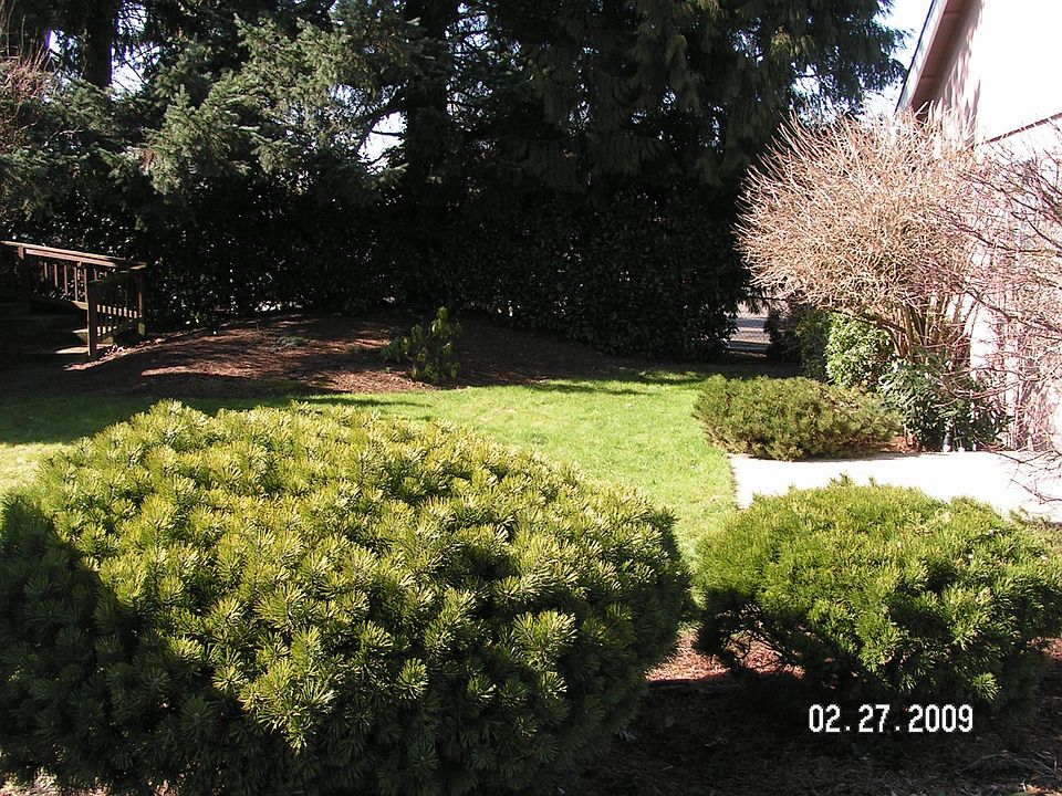 2nd image of 3600 NE 54th St APT A