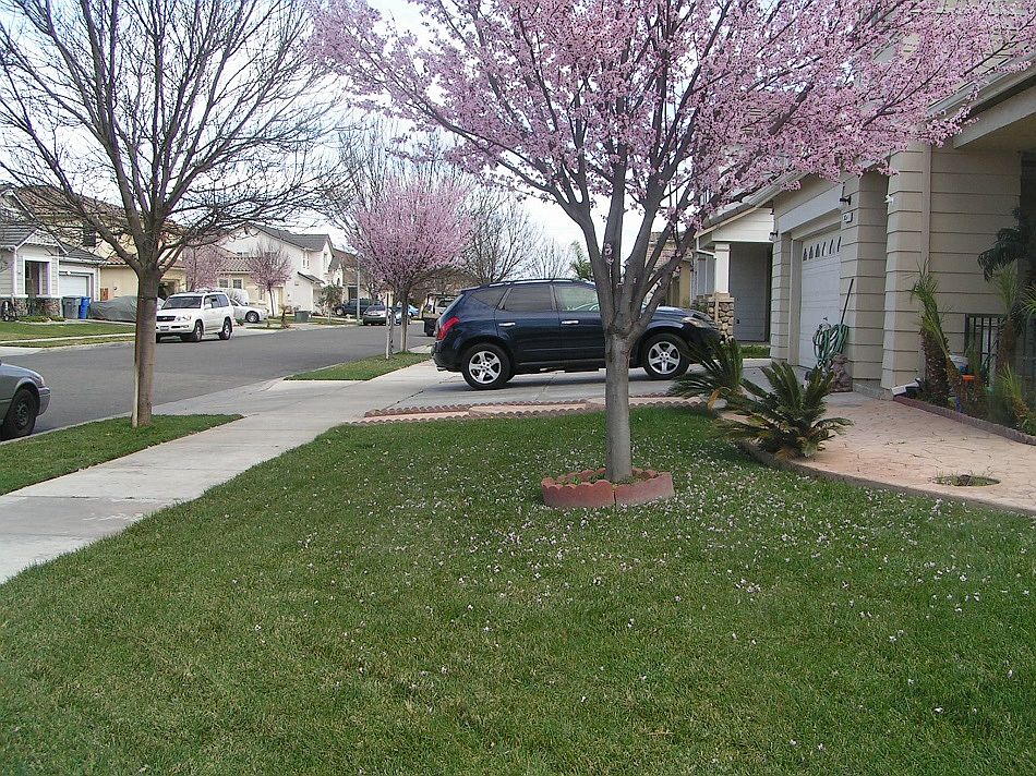 1st image of 3654 Pomegranate Ave