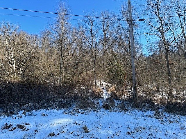 2nd image of 0 Purman Run Rd