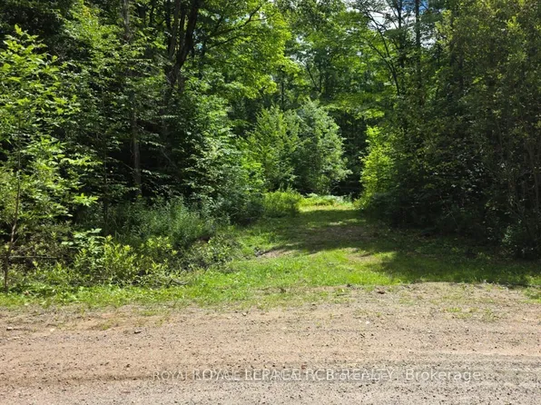 1414 Madill Rd, Highlands East, ON K0M 1S0
