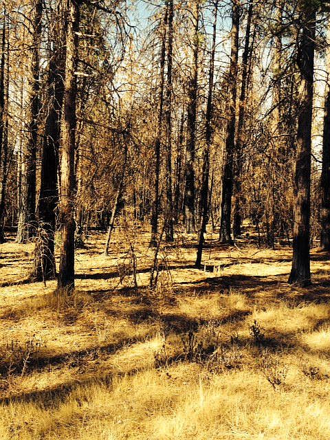 1st image of 21840 Ponderosa Way