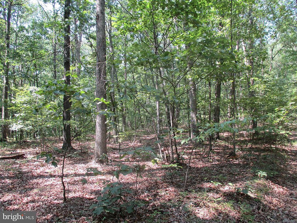 2nd image of Maple Run Rd