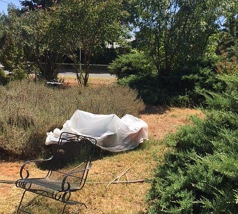 2nd image of 1340 Median Ave