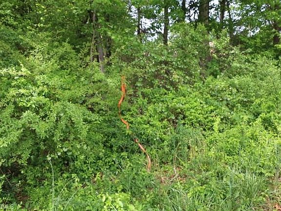 5th image of Shady Side Ln