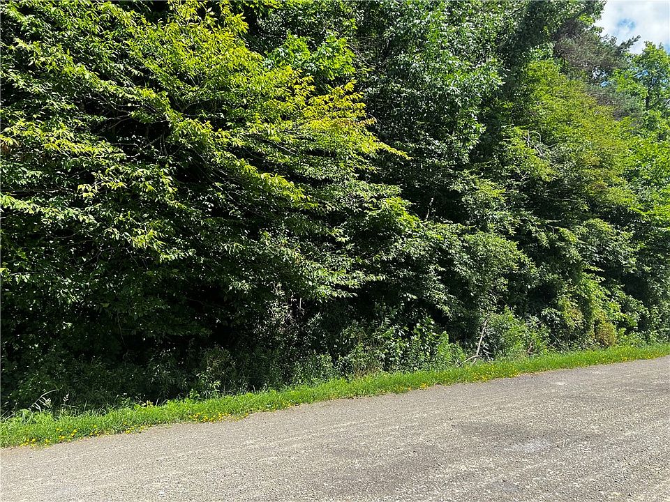 0 Alderbottom Rd Conewango Valley NY Zillow