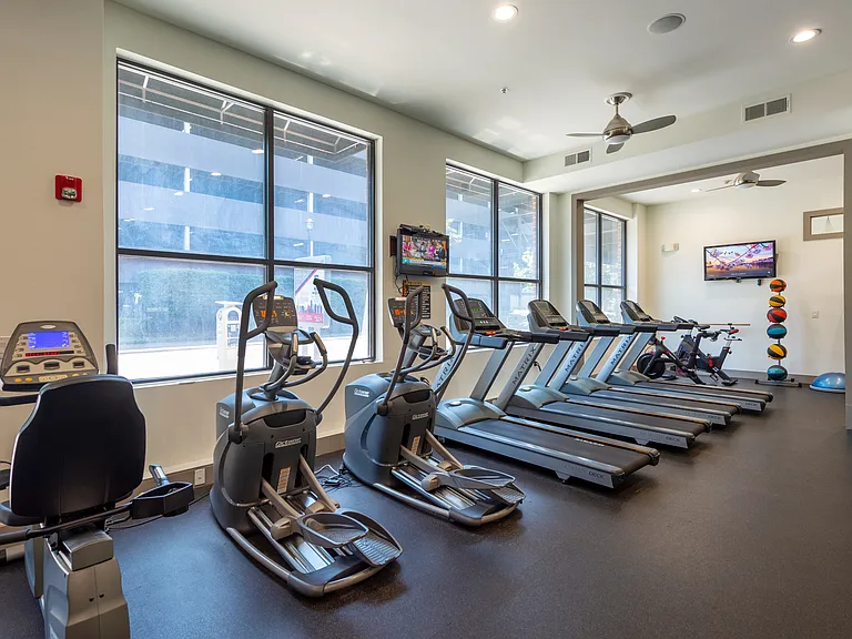 Where wellness meets design.