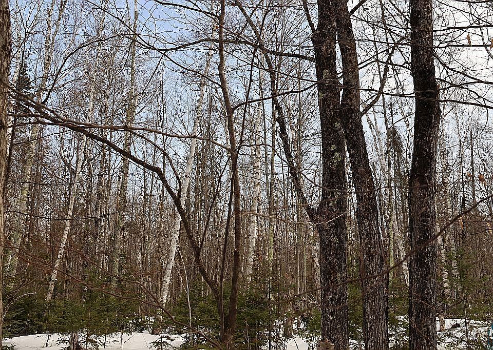 1st image of 713XX Oulu Rock Rd