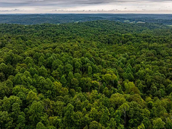 1953 G Sexton Rd, Cork, KY 42129