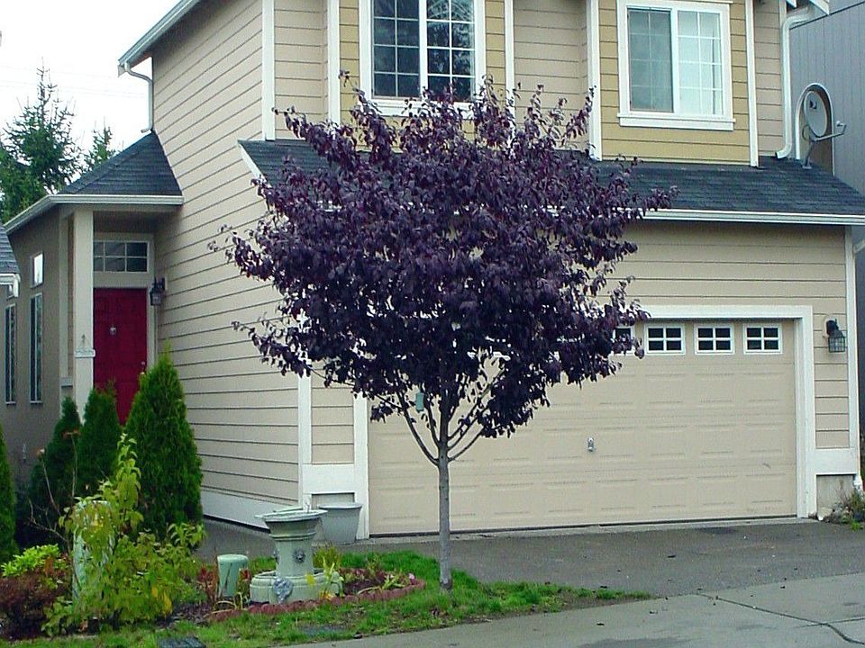 Front of home.