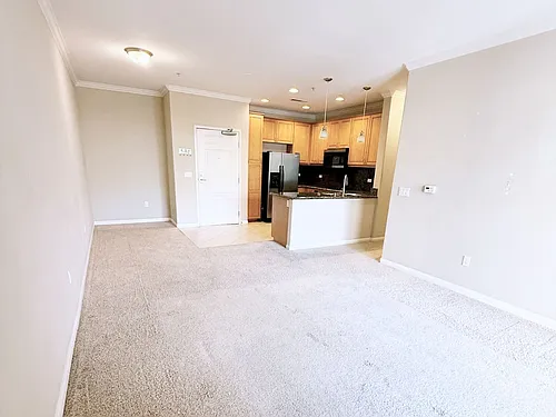 3877 Pell Pl Photo 1