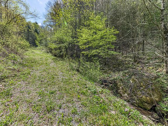 3rd image of T Greer Rd