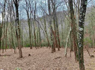 Catnip Trl LOT 110, Landrum, SC 29356