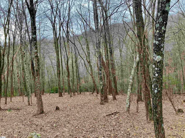 Catnip Trl Lot 110, Landrum, SC 29356