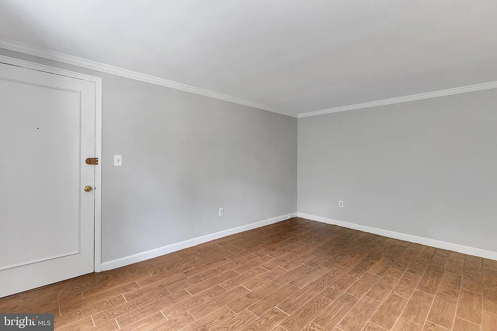 1 bed, 539 sqft, $2,000 — Photo 3
