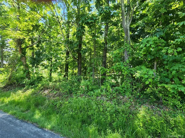 Irish Cape Road, Ellenville, NY 12428