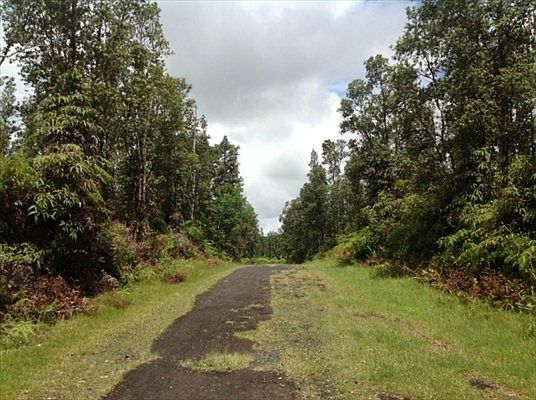 2nd image of Pahoa Rd Lot 246