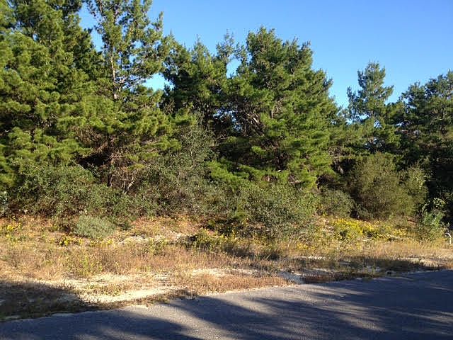 2nd image of 18 Mountain Top Dune Dr
