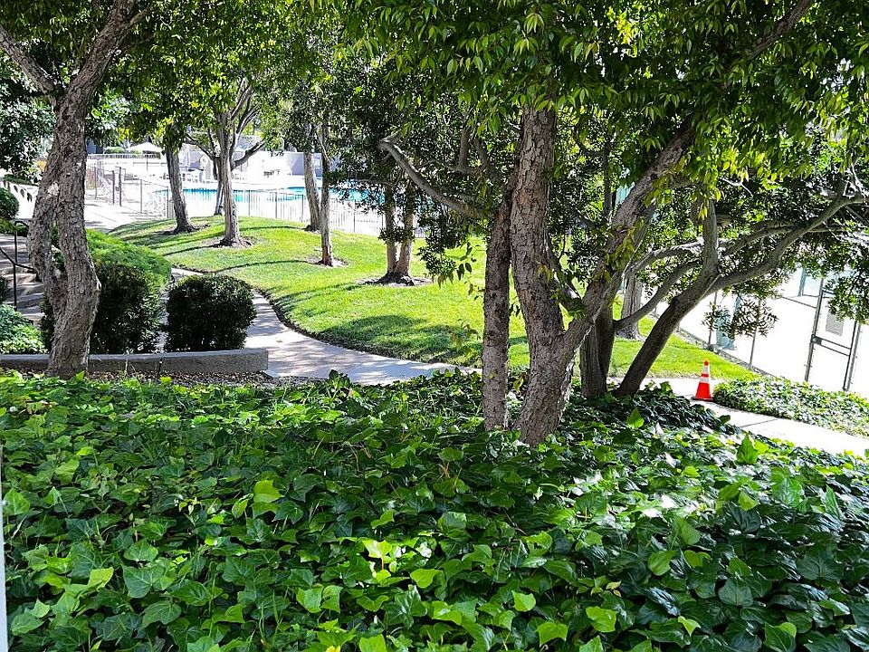 A view from patio