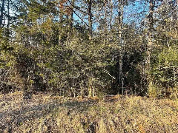 0 Heidi Ln, Shirley, AR 72153