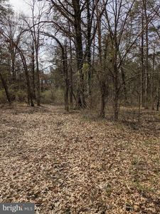 Weaversville Rd, Bealeton, VA, 22712