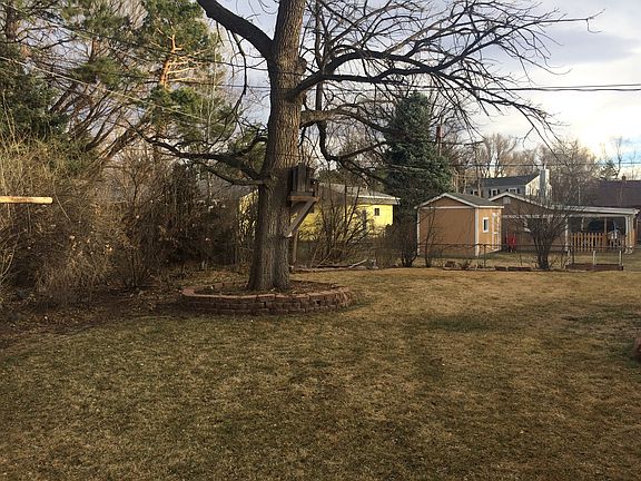 Back yard