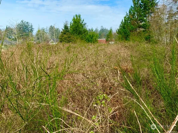 285 Lots 5-6 Y Lane, Ocean Park, WA 98640