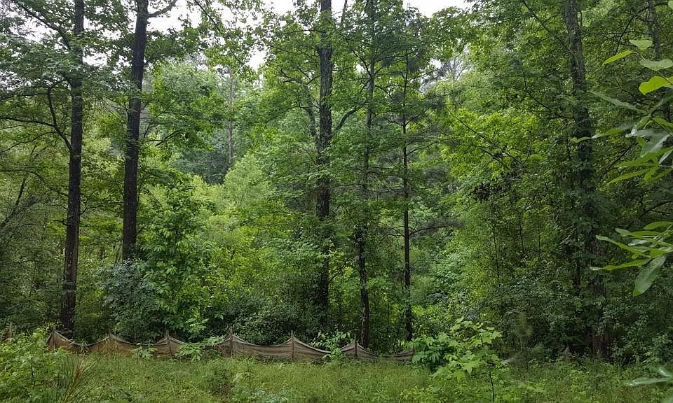 2nd image of 4851 Adams Rd Lot 0