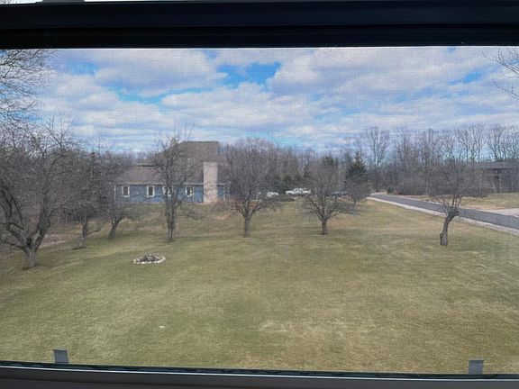 View of the backyard from the kitchen window.