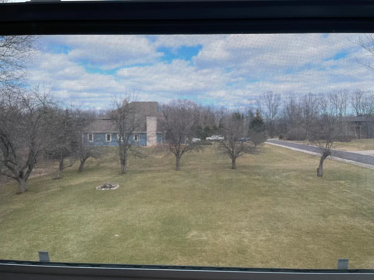 View of the backyard from the kitchen window. - N River Rd