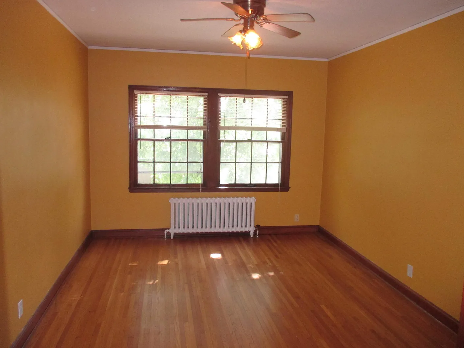 1 bed, 800 sqft, $1,000 — Photo 2