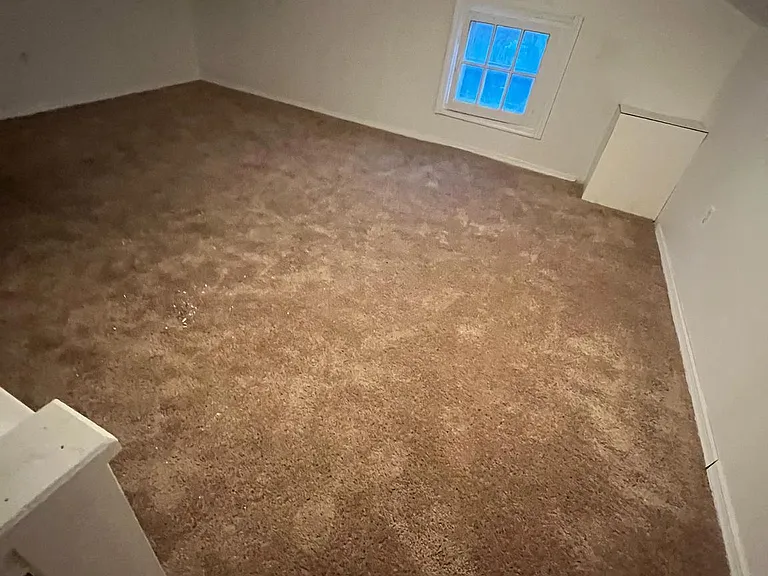 1139 Woodland Ave #2 — Photo 7