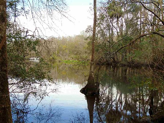 3rd image of Tiger Hammock Rd
