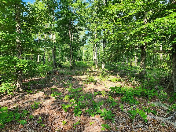 2nd image of 0 York Hwy Lot 11
