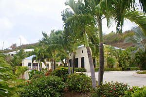 Tropical Landscaping