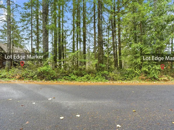65344 E Sandy River Ln, Rhododendron, OR 97049