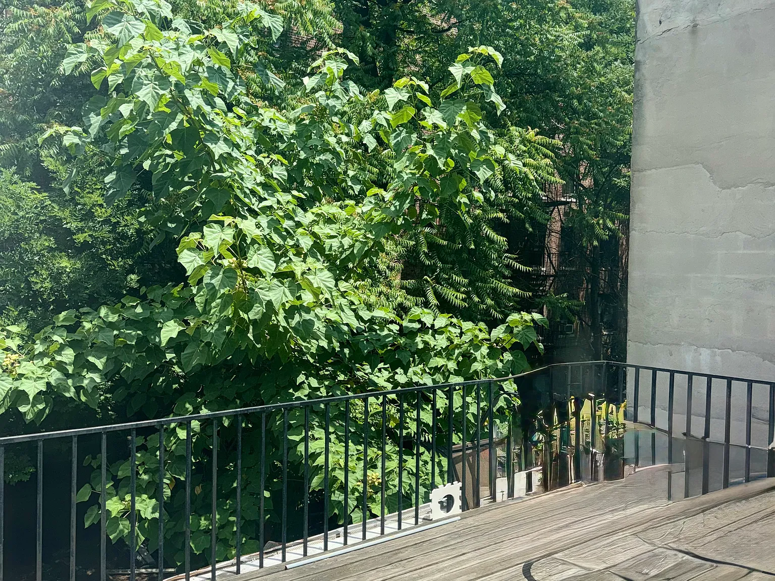 387 East 152nd Street — Photo 1