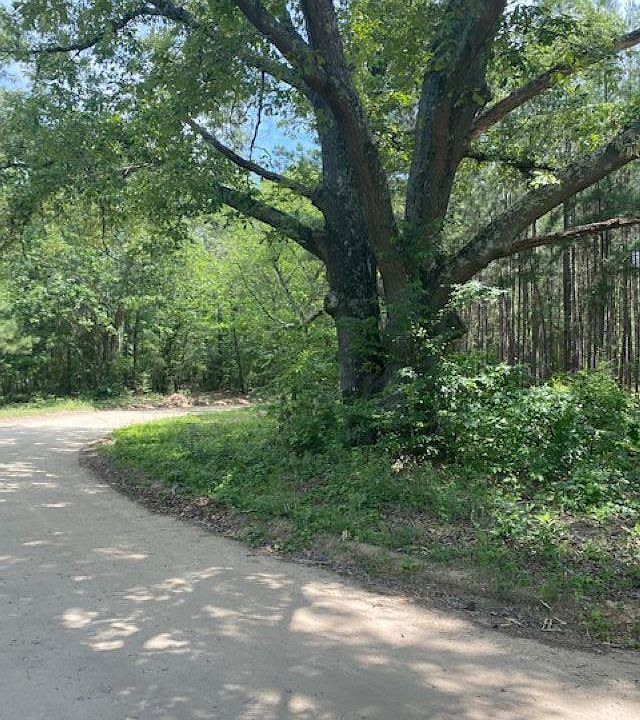 1st image of Seminole Dr