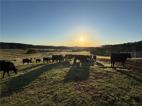 1160 State Highway 77, Roanoke, AL 36274