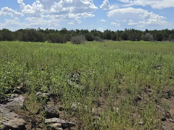 County Road 8026, Concho, AZ 85924