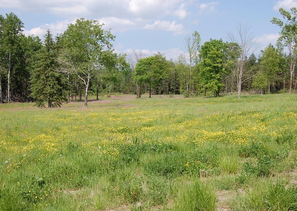 2nd image of 6050 Richards Rd