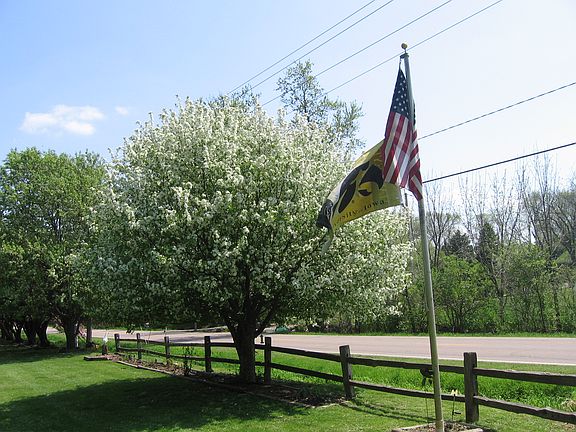 3rd image of 4710 Stone Park Blvd
