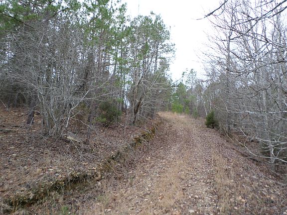 4th image of 38 Golden Eagle Dr