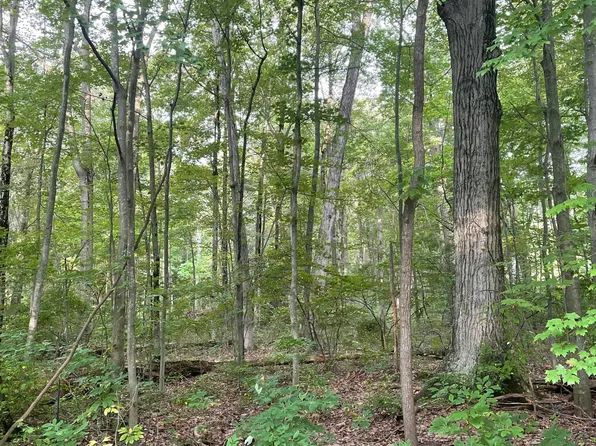 0 N 160th Ave, Holland, MI 49424