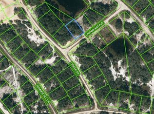 506 DREAMLAND AVENUE LOT 34, LAKE PLACID, FL 33852