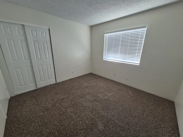 Tiger Ln — Photo 19